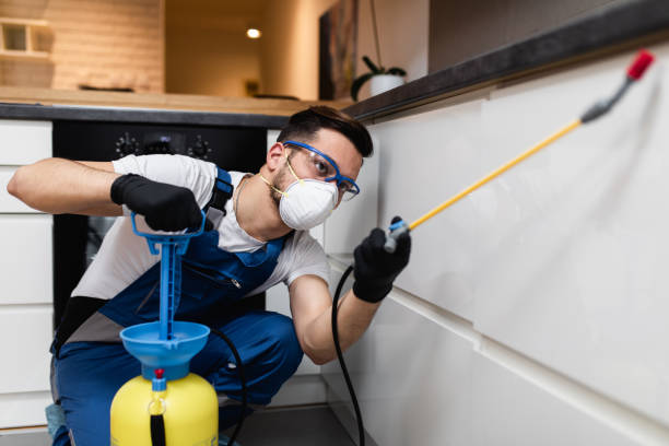 Best Pest Inspection Near Me  in Lake Lifornia, CA