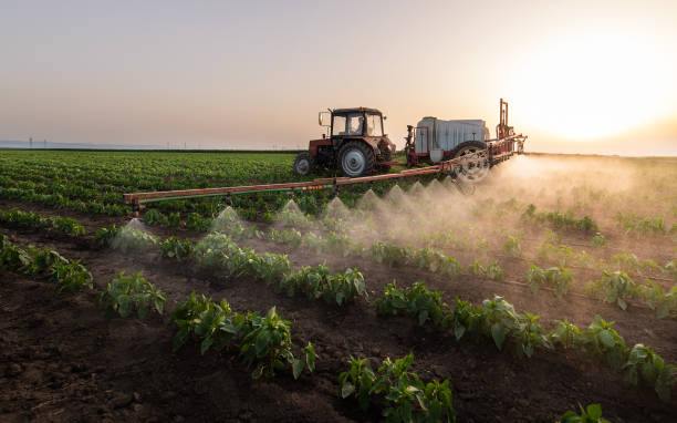 Best Best Pest Control Companies  in Lake Lifornia, CA
