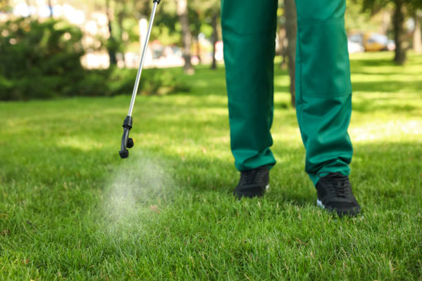 Best Commercial Pest Control Services  in Lake Lifornia, CA